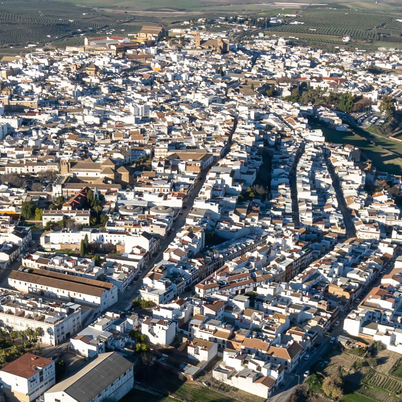 Región de Montilla-Moriles, en Córdoba