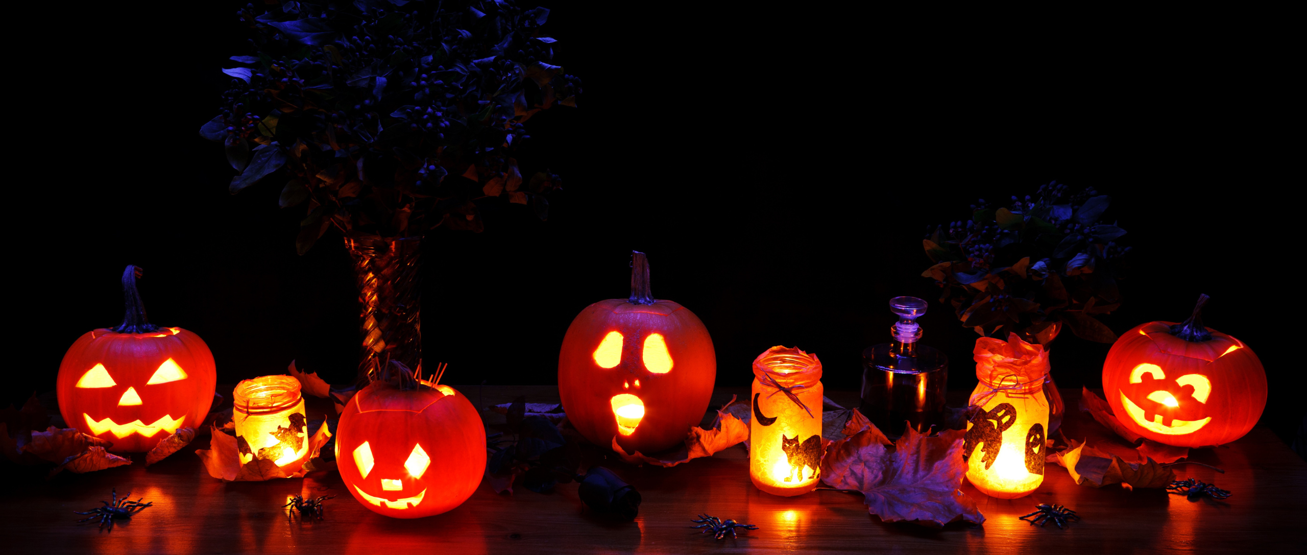 detalle de calabazas vacías y con velas típicas de la fiesta de halloween