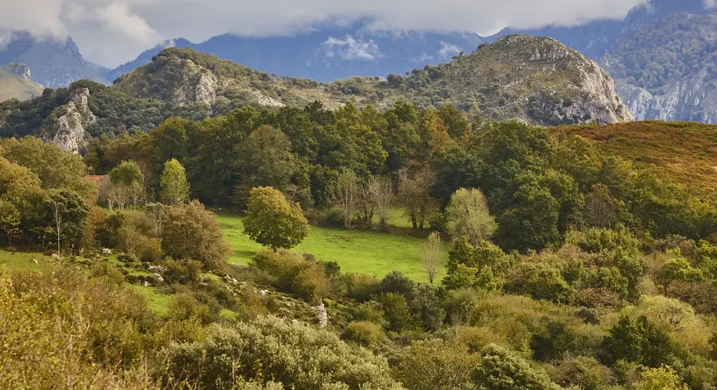 Picos de Europa en Asturias