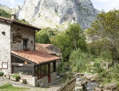 Los Picos de Europa en Asturias: Naturaleza, Gastronomía y Exclusividad