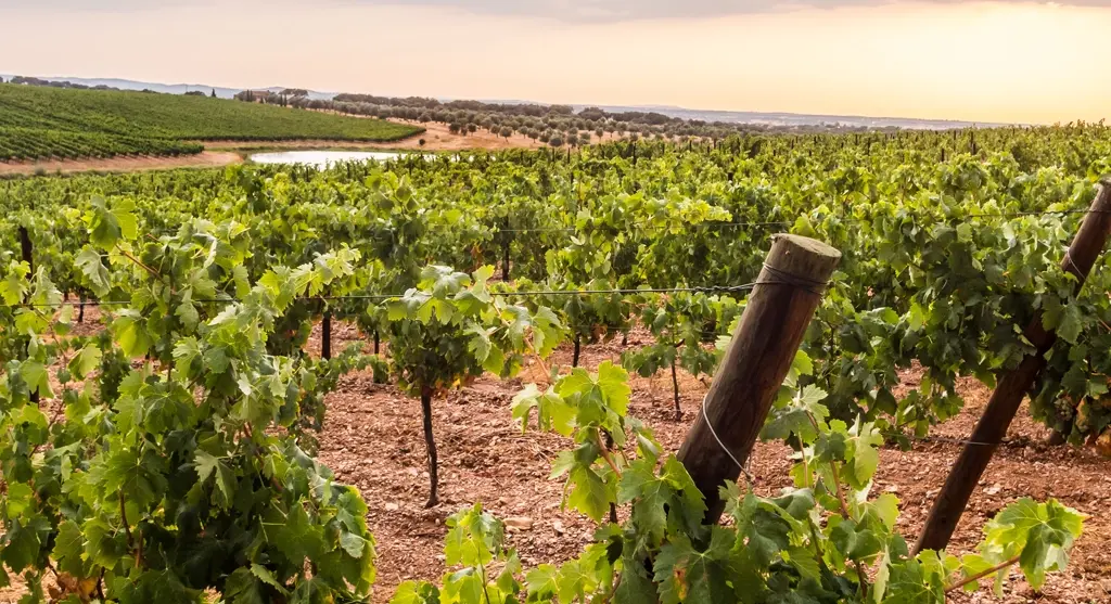 Alentejo. Portugal