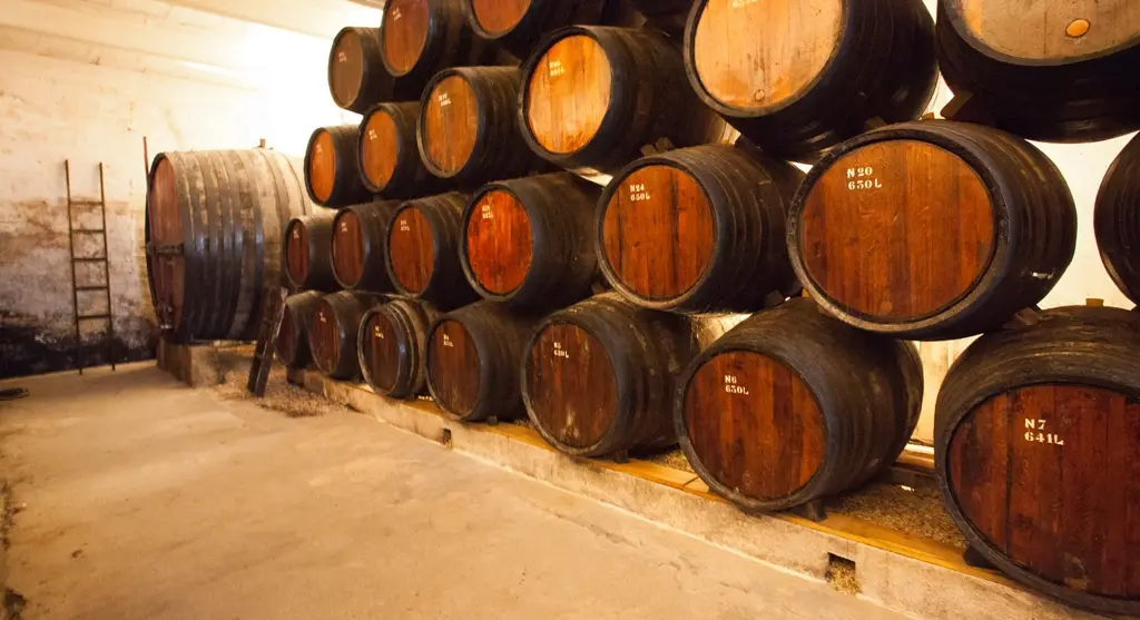 Bodega. Valle del Douro