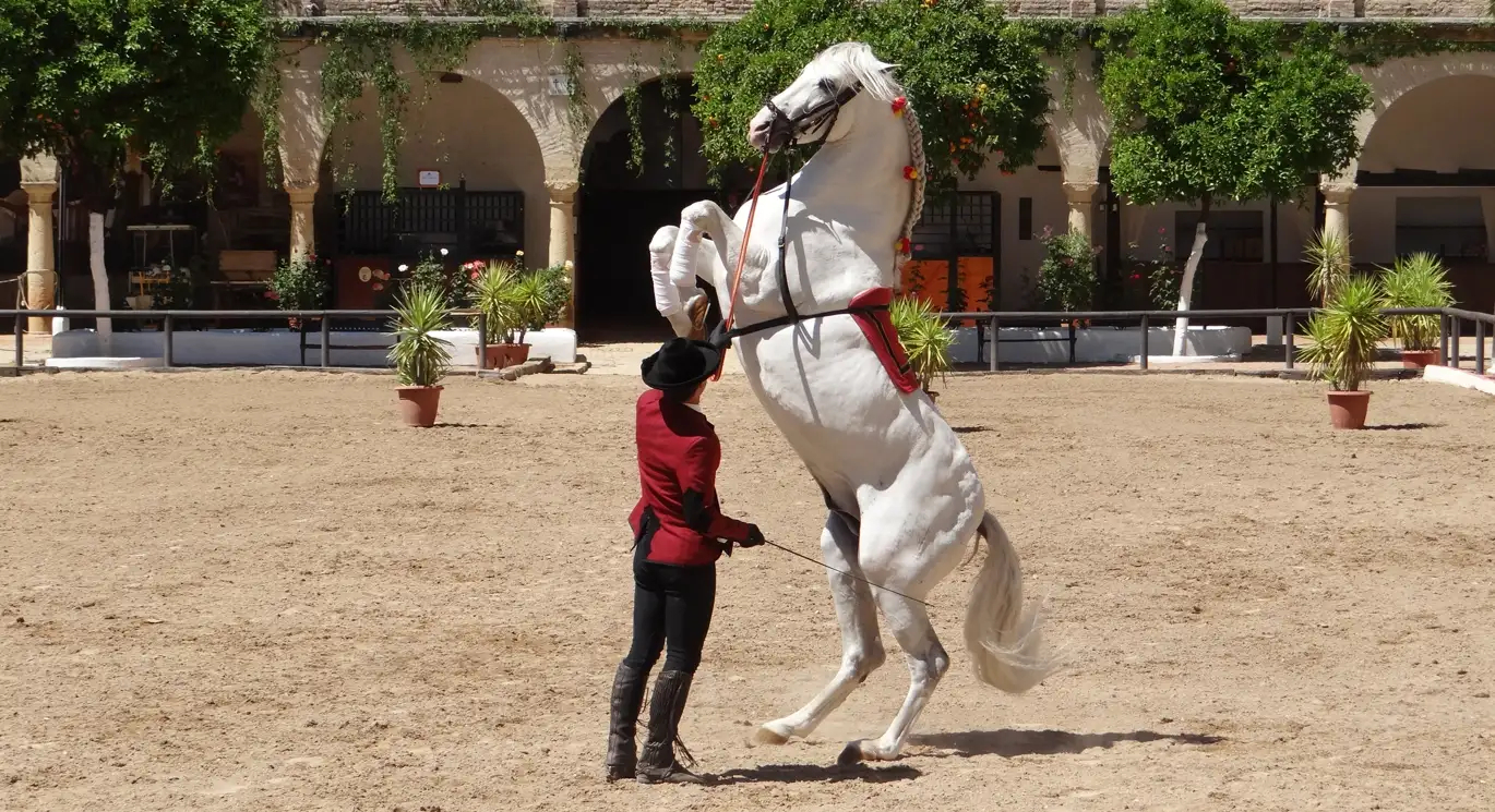 Arte Ecuestre. Jerez