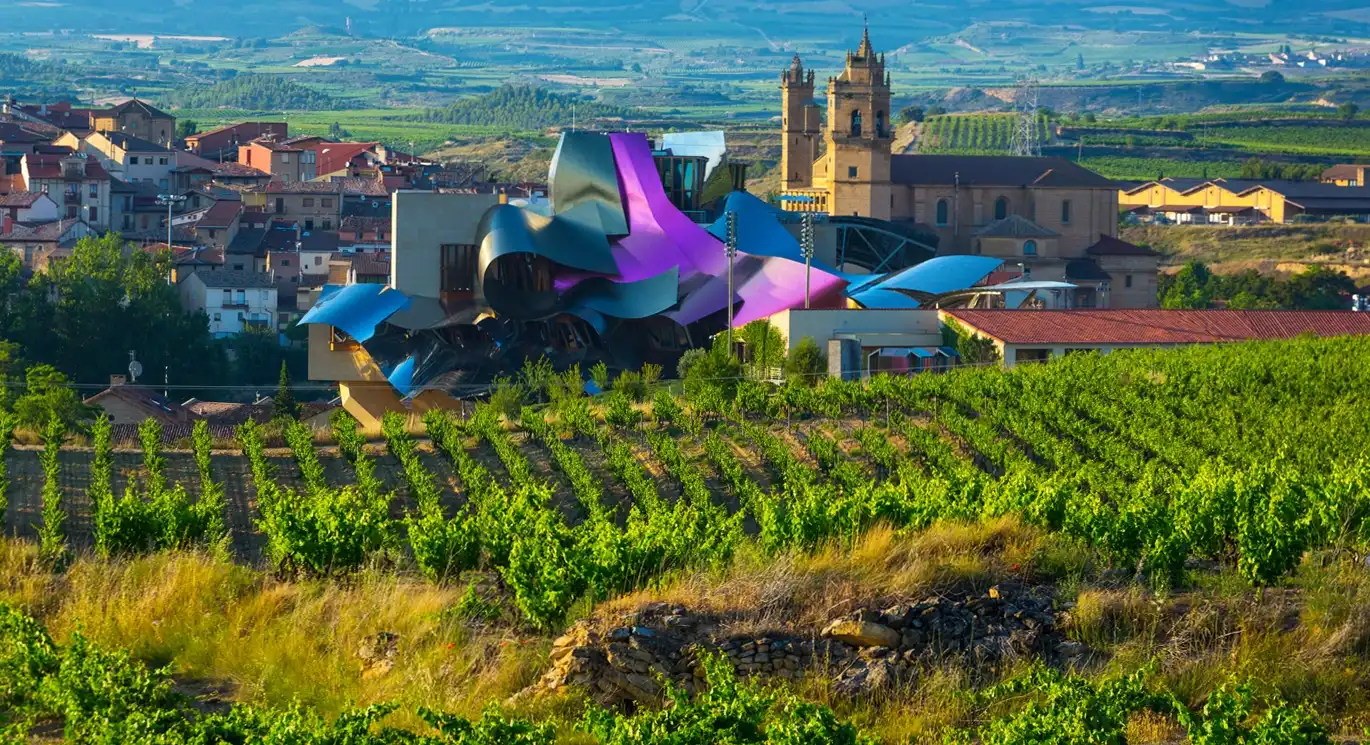 Marqués de Riscal. Elciego