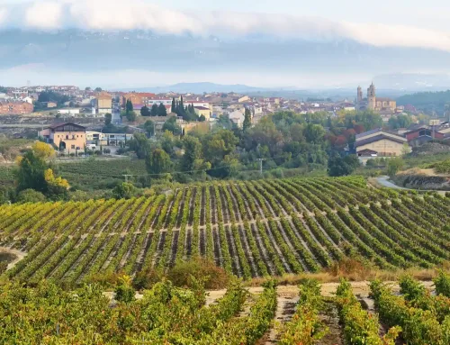 La Rioja: El Destino Soñado para Amantes del Vino, historia y cultura