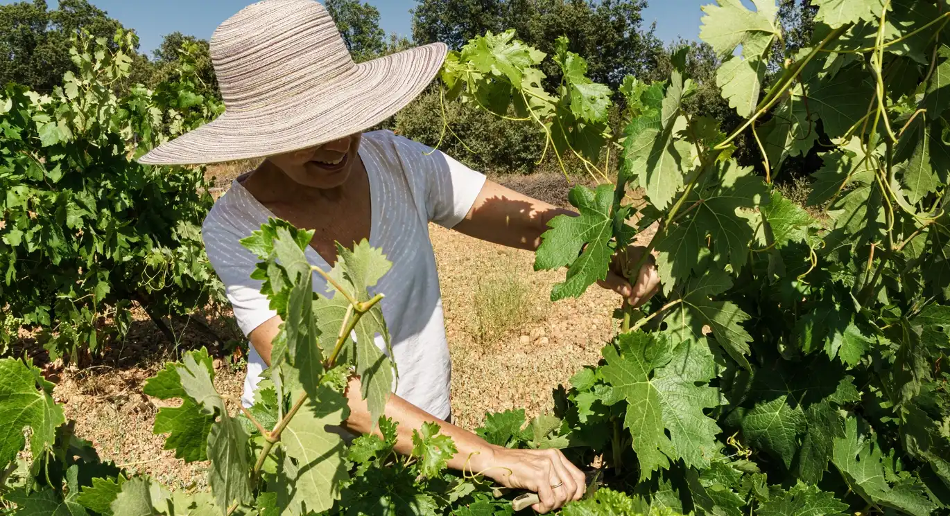 Ribera del Duero