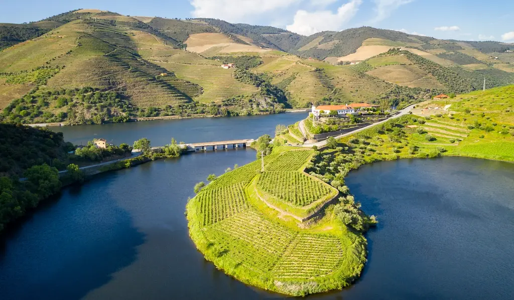 Douro valle Quinta do Tedo