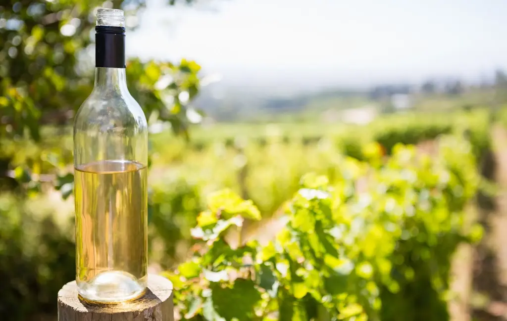 Albariño