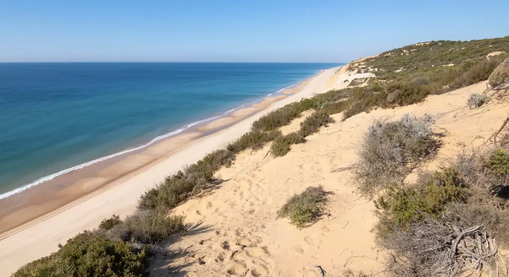Parque Nacional de Doñana