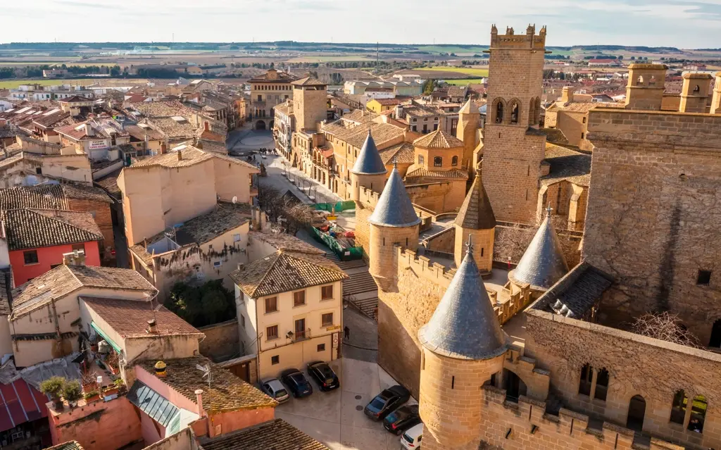 Castillo-palacio de Olite
