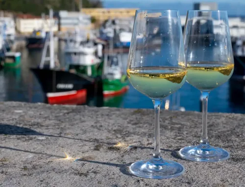 Viajar al Norte de España en Otoño: Ruta de Vinos, Sabores y Paisajes Dorados