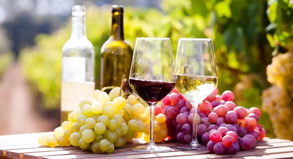 Vinos del Penedès Vinos del Penedès