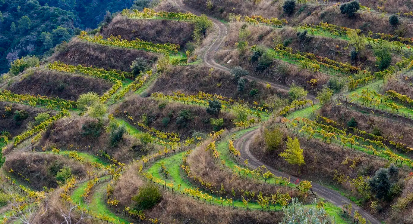 Priorat Priorat