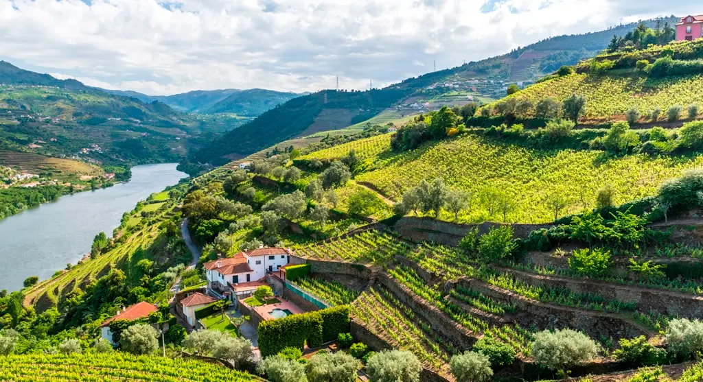 Douro Valley Douro Valley